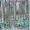 新北三峽熊空環保吸水紙杯墊 50入(尺寸：8.5 x 8.5 cm 厚度：1.2mm 材質：環保無毒玉米紙漿大豆油墨印製，最天然環保無毒的印刷）