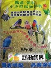 鵬檜小型鸚鵡飼料(5台斤)