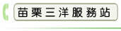 苗栗三洋服務站