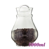FH2005 Airtight Coffee Bean Canister (HG1987)