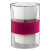 1001 Double Wall Glass (HG2244)