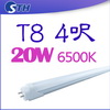 T8-20W-6500K燈管