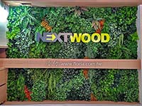 【NEXT WOOD】