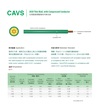 CAVS  JASO Thin Wall, with Compressed Conductor, JIS C 3102, 符合JASO D 611及RoHS規範 PVC日規壓縮導體薄肉汽車花線
