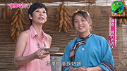 華麗的旅行-10
