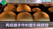 手作生吐司如何長大紀錄