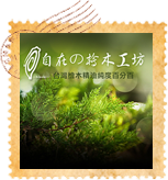 自在之檜木工坊