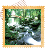 烏來雲仙樂園