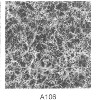 義大利CFM亮點轉寫膜-A106