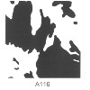義大利CFM亮點轉寫膜-A116