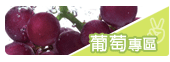 葡萄專區