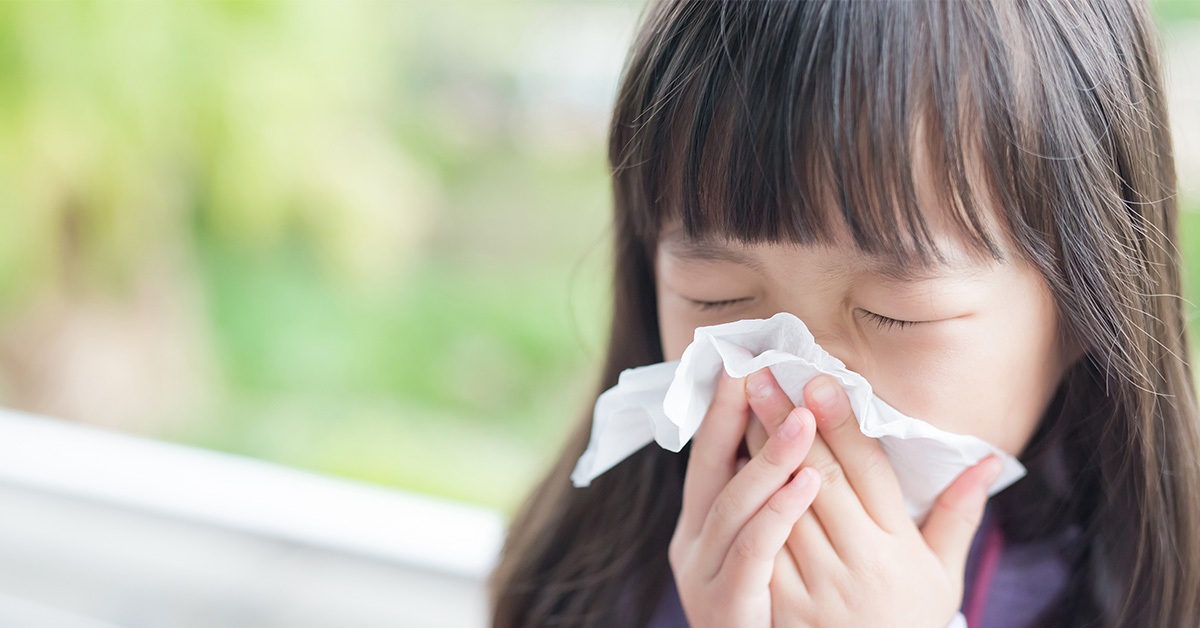是感冒還是鼻過敏？改善過敏性鼻炎 醫曝關鍵：超過這濕度塵蟎難存活