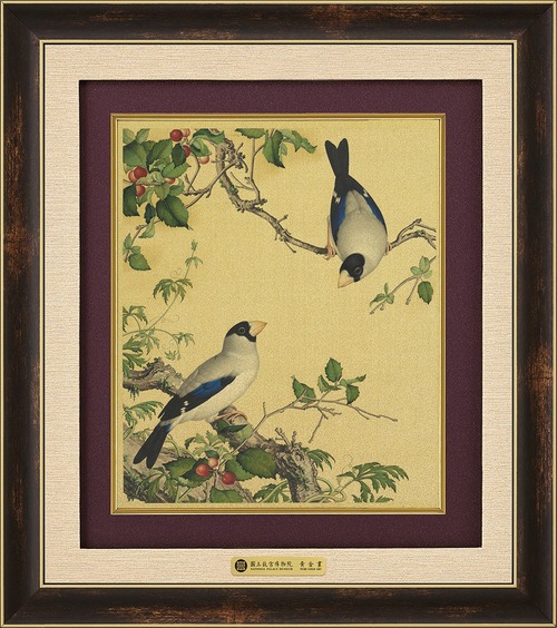 錦繡F－櫻桃桑鳲示意圖