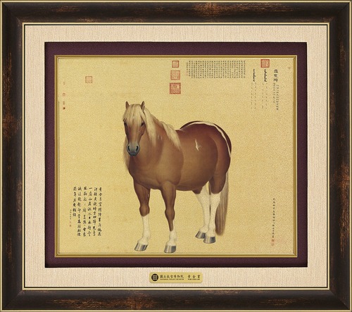 錦繡F－雪點鵰示意圖