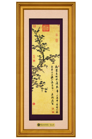 富貴S－杏花示意圖
