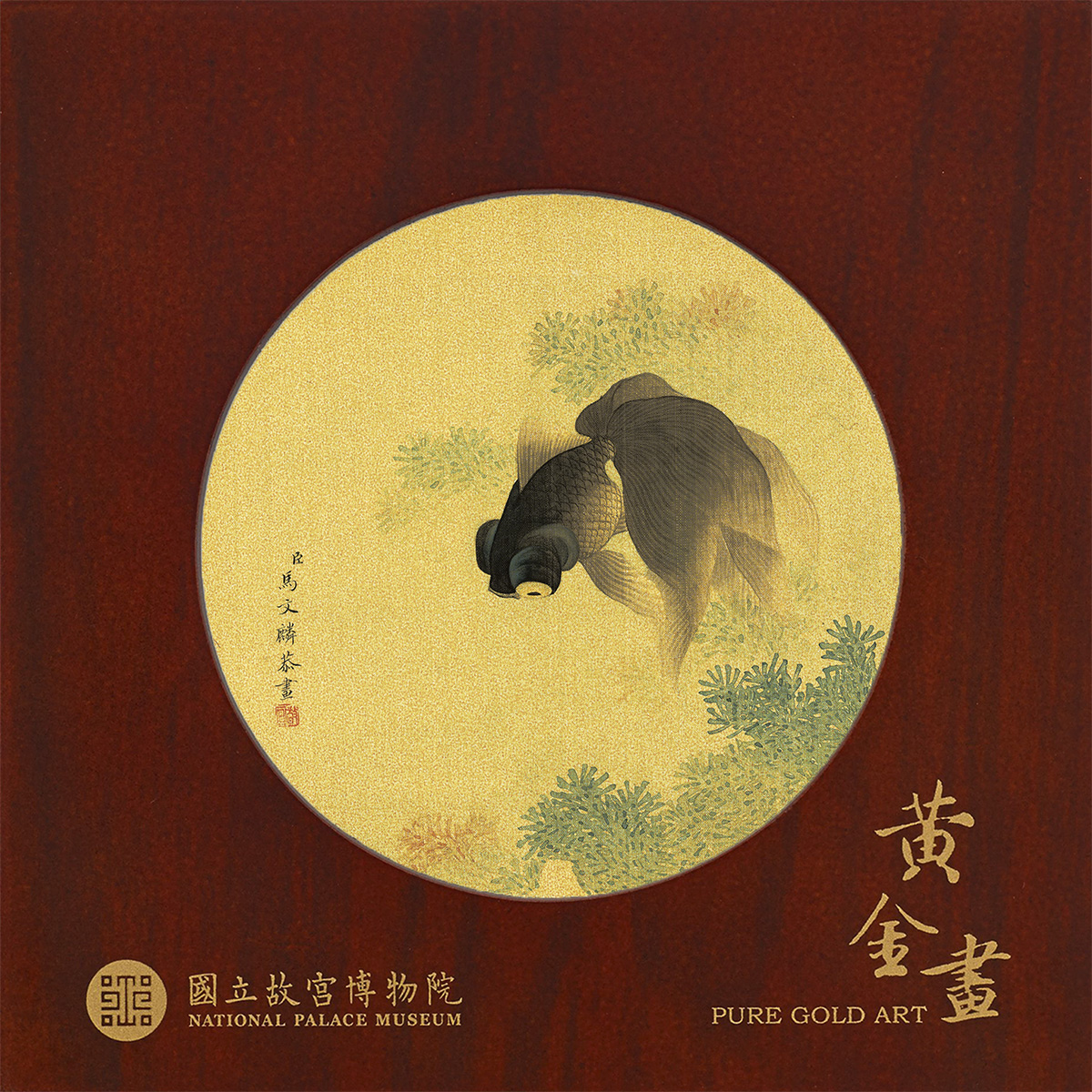 巧緻-金魚示意圖