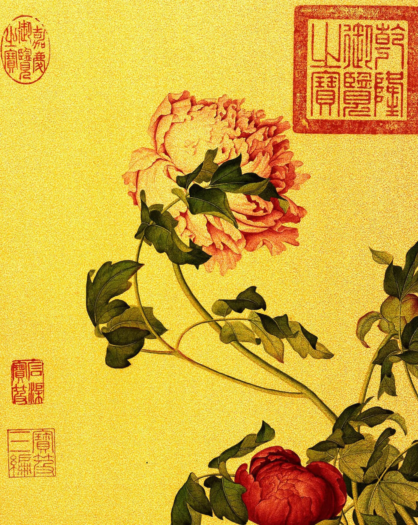 典藏-仙萼長春 冊 牡丹圖 畫心