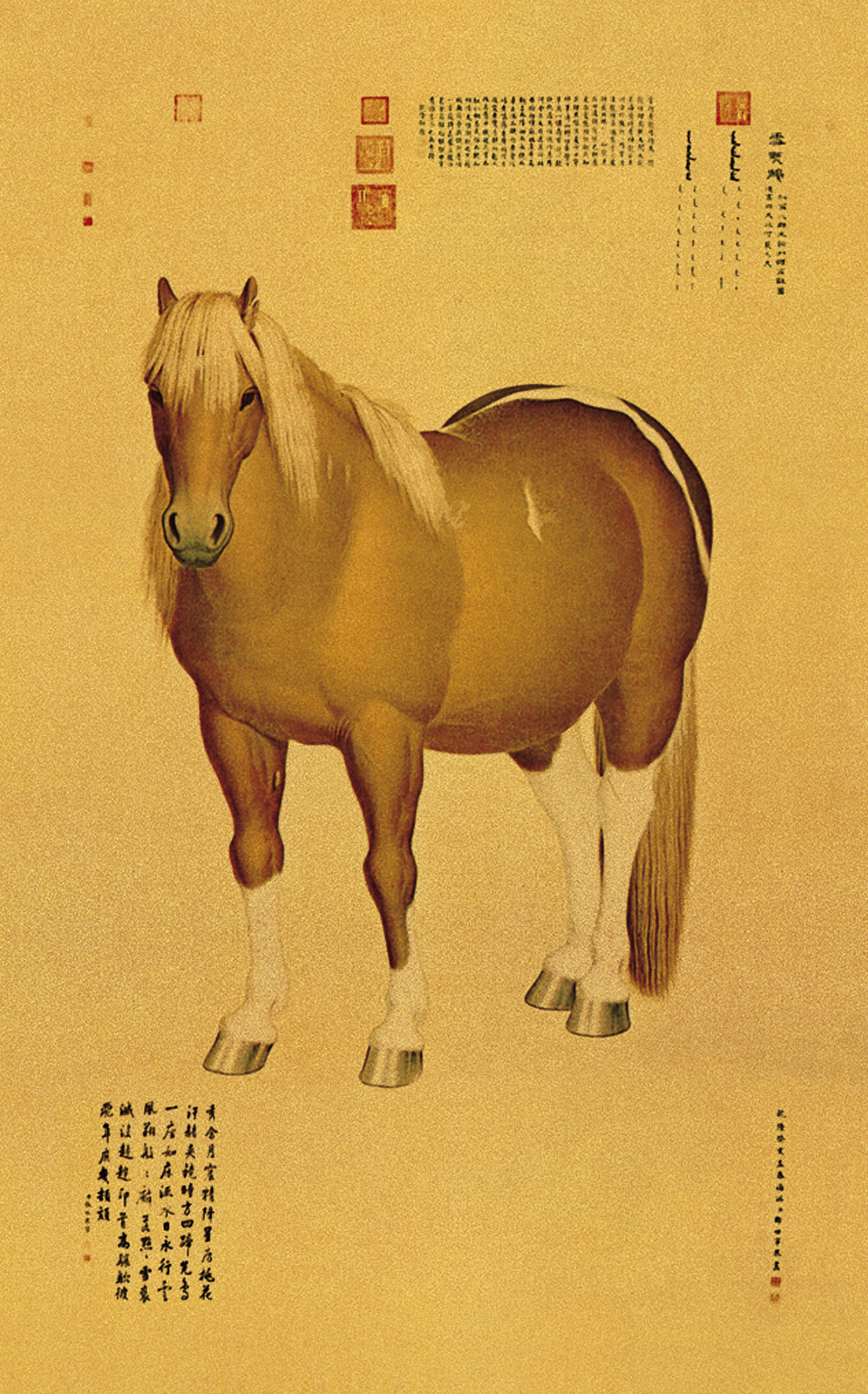 富貴(咖)-雪點鵰 畫心