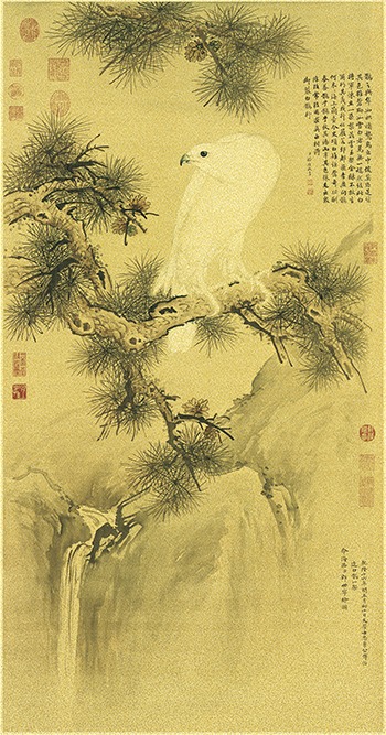 白鶻圖畫心