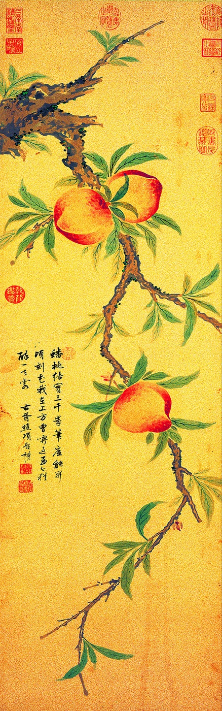 蟠桃圖畫心