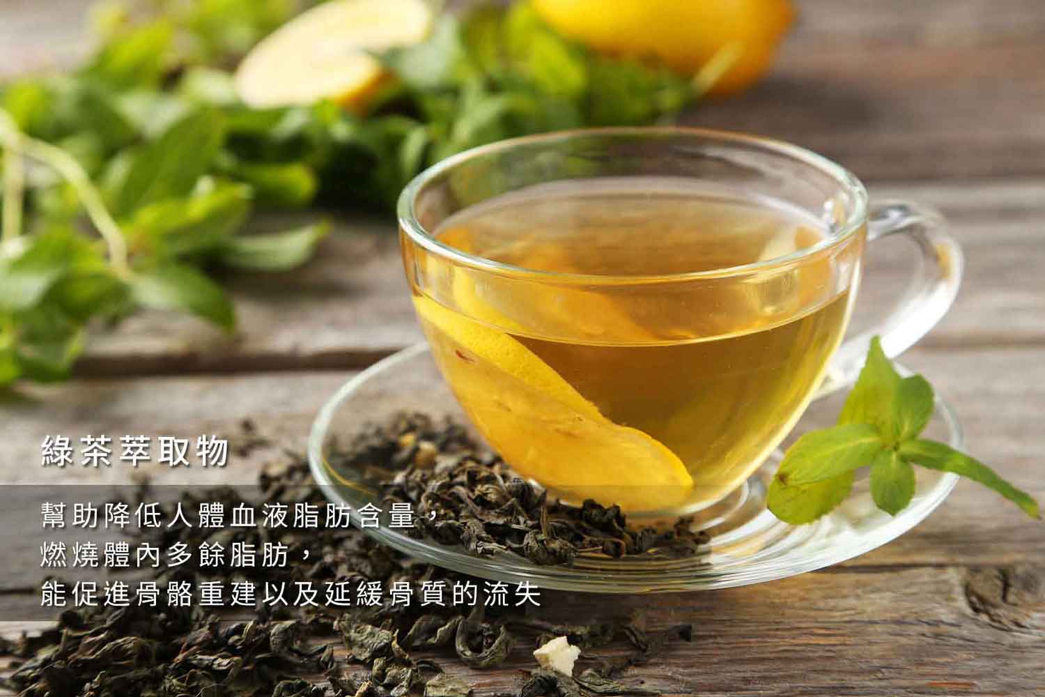 『讚恩』九種萃取物-綠茶萃取物(Green Tea Extract)