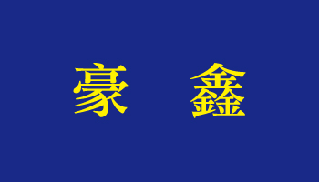 豪鑫 POLO衫短袖