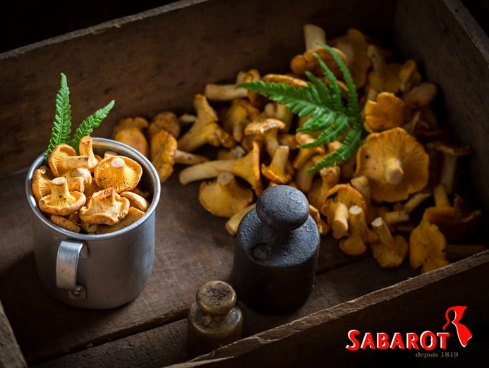 莎芭若乾燥菌菇類及豆類 SABAROT