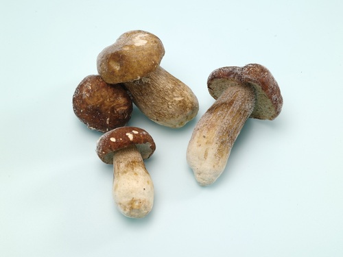 冷凍牛肝菌菇Q1 4-6CM<br/>FROZEN WHOLE PORCINI PREMIUM 4-6CM <br/>示意圖