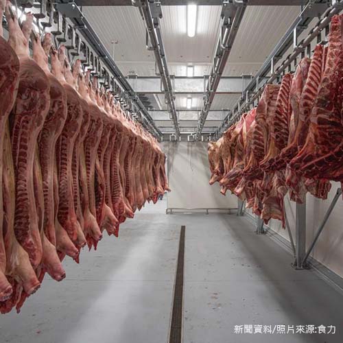 台灣生鮮肉品加強食安、進軍國際全靠「它」！勢在必行的屠宰場HACCP驗證