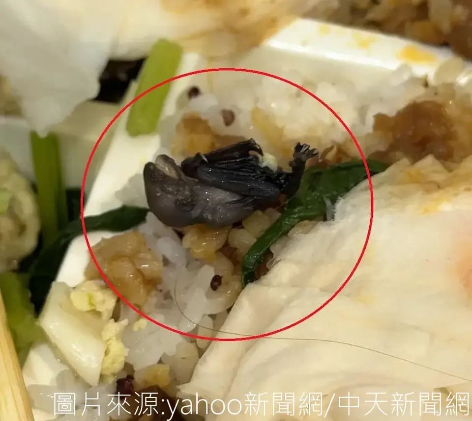 食安羅生門！他爆料「便當吃出蝙蝠」店家冷處理 業者反控：公然說謊！