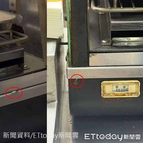 高雄早餐名店驚見「小強上桌開趴」店家認了　衛生局罰6萬