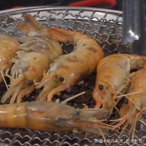泰國「流水蝦」台灣也有！