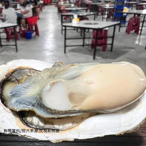 嘉義東石「烤蚵吃到飽」爆10人吐瀉！