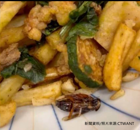 超噁！師園鹽酥雞吃到「酥炸蟑螂」　負責人致歉：板橋店當天消費者全額退