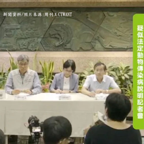 非洲豬瘟國際案例90%源自廚餘！ 陳駿季：恐民眾「攜肉品入境」再回豬場