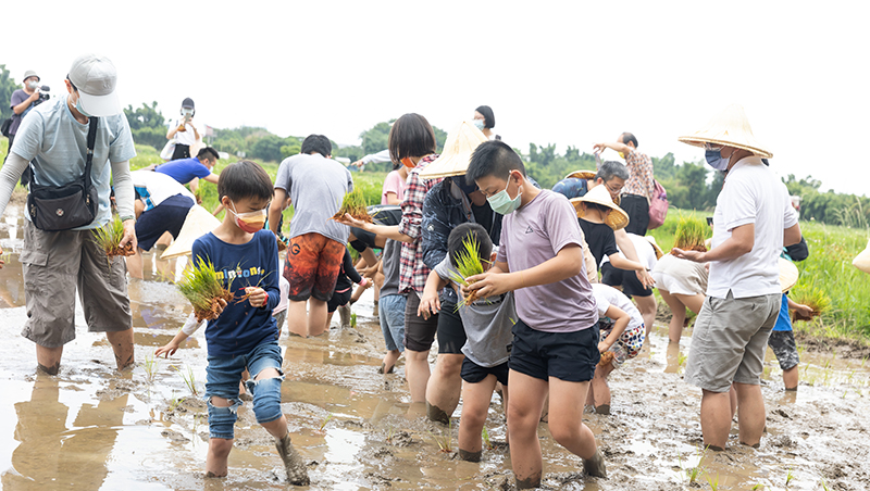 台灣東洋啟動為期三年的「耕著東洋挺健康」公益計畫，邀請員工樂活體驗農事也用行動支持ESG。