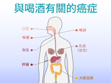與喝酒有關的癌症