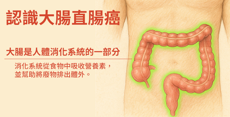 認識大腸直腸癌