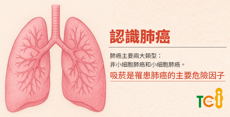 認識肺癌，吸菸是罹患肺癌的主要危險因子