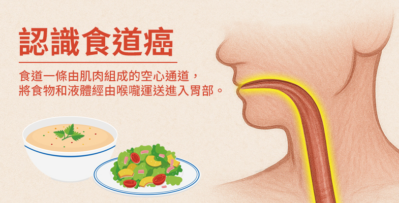 認識食道癌