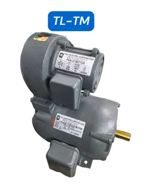 轉矩馬達 Torque Motor
