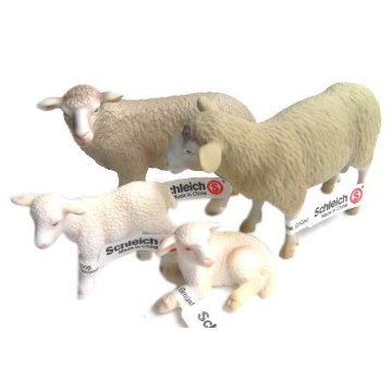 羊模型示意圖