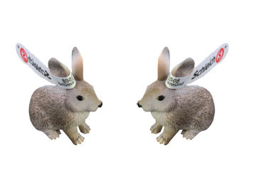 兔子模型示意圖