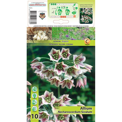 HBM-A07 西西里 Siculum (10顆/包)示意圖