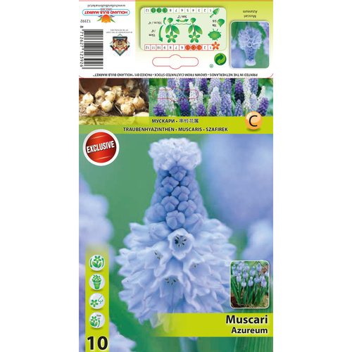 HBM-A31 蔚藍 Azureum(20顆)示意圖