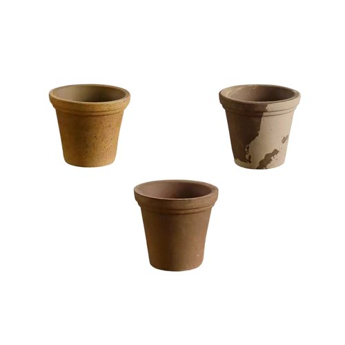 BCC-135 園丁盆16公分示意圖