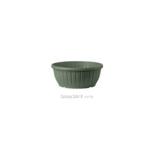 CDD-50鳶尾淺盆-塑料-綠示意圖