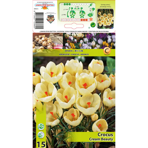 HBM-A18 奶油 Cream Beauty(10顆)示意圖