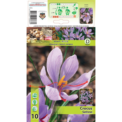 HBM-A16 秋花 Sativus (10顆)示意圖