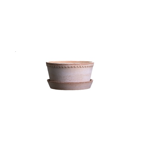 HL-21R 赫蓮娜美人單珠矮盆-薔薇粉示意圖